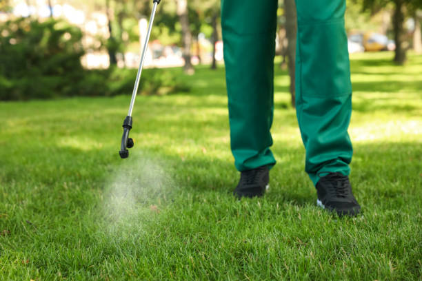 Flea Control Services in Henrietta, TX