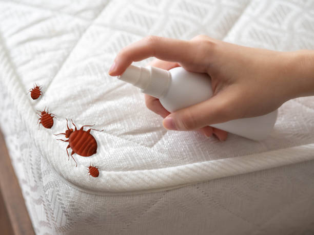 Best Pest Control Near Me  in Henrietta, TX