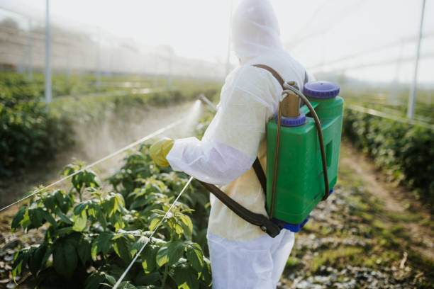  Henrietta, TX Pest Control Pros